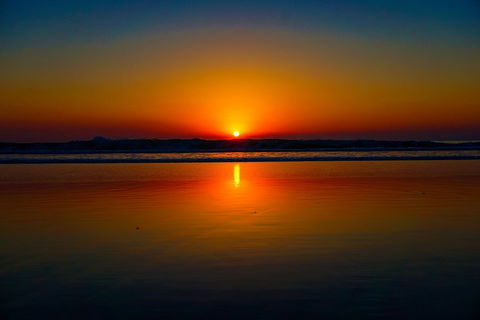 Glow Worms Private Tour - Nocturnal Rainforest Walk - Hotels Melbourne 3