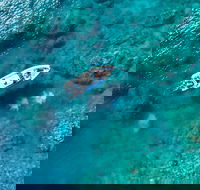 Premium Private Charter - Hotels Melbourne