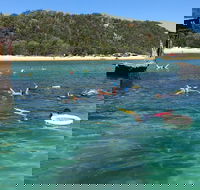All Inclusive Dolphin and Tangalooma Wrecks Cruise - Hotels Melbourne