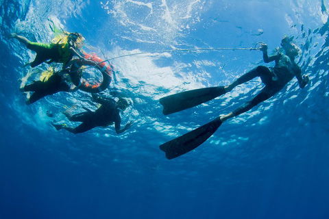 Passions Of Paradise Great Barrier Reef Snorkel And Dive Cruise From Cairns By Luxury Catamaran - Hotels Melbourne 2