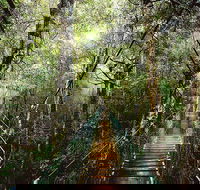 O'Reilly's  Lamington National Park from Gold Coast - Hotels Melbourne