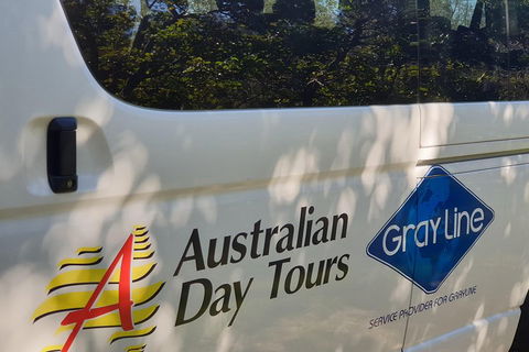 Natural Bridge Glow Worm Night Tour From Gold Coast - Hotels Melbourne 5