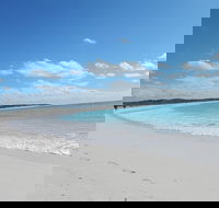 Shipwreck Special Nature Tour/Half Day Tour - Hotels Melbourne