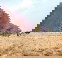 Uluru Sunrise and Guided Base Walk - Hotels Melbourne