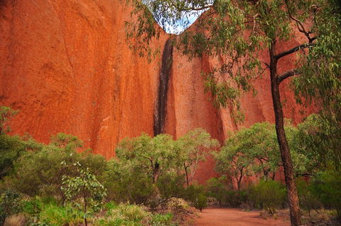 Uluru Sunrise And Guided Base Walk - Hotels Melbourne 3