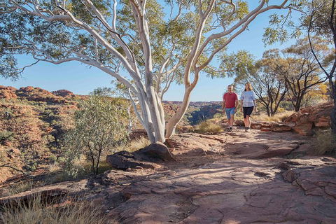 3-Day Tour From Uluru (Ayers Rock) To Alice Springs Via Kings Canyon - Hotels Melbourne 1