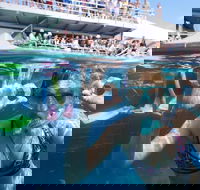 Great Barrier Reef Day Cruise from Cairns Including Snorkeling and Marine Biologist Presentation - Hotels Melbourne