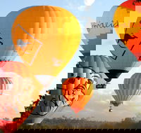 Natural Bridge  Springbrook Waterfalls Tour  Hot Air Balloon with Breakfast - Hotels Melbourne