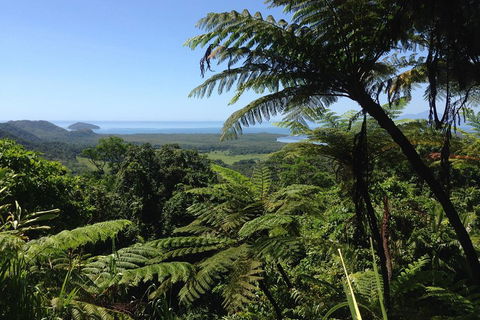 Daintree And Cape Tribulation Full Day Guided Tour - Hotels Melbourne 2
