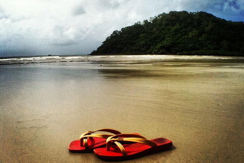 Daintree And Cape Tribulation Full Day Guided Tour - Hotels Melbourne 4