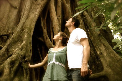 Daintree And Cape Tribulation Full Day Guided Tour - Hotels Melbourne 5