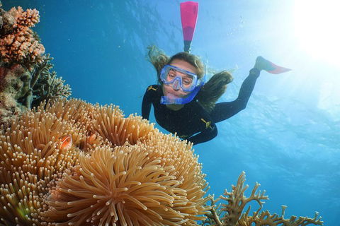 Quicksilver Outer Great Barrier Reef Snorkel Cruise From Port Douglas - Hotels Melbourne 2