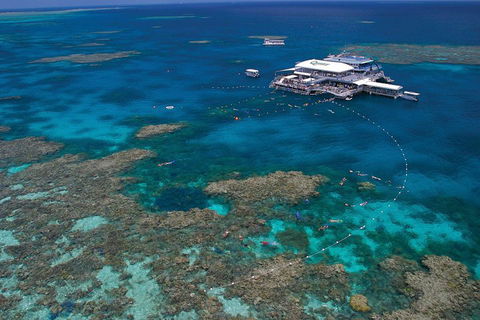 Quicksilver Outer Great Barrier Reef Snorkel Cruise From Port Douglas - Hotels Melbourne 3
