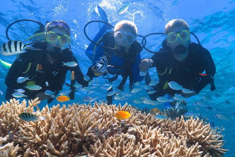 Quicksilver Outer Great Barrier Reef Snorkel Cruise From Port Douglas - Hotels Melbourne 4