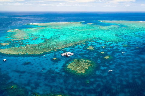 Quicksilver Outer Great Barrier Reef Snorkel Cruise From Port Douglas - Hotels Melbourne 5