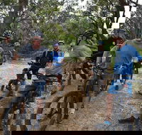 Fully guided E-Mountain Bike Tour on the beautiful Mornington Peninsula. - Hotels Melbourne