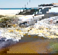Full-Day Moreton Island 4x4 Sightseeing Tour - Hotels Melbourne
