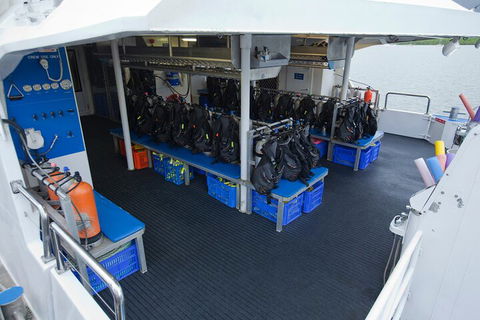 Silverswift Outer Great Barrier Reef Dive And Snorkel Cruise From Cairns - Hotels Melbourne 0