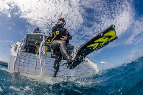 Silverswift Outer Great Barrier Reef Dive And Snorkel Cruise From Cairns - Hotels Melbourne 1