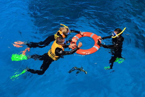 Great Barrier Reef Adventure From Cairns - Hotels Melbourne 3