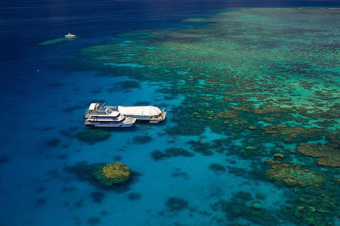 Great Barrier Reef Adventure From Cairns - Hotels Melbourne 4