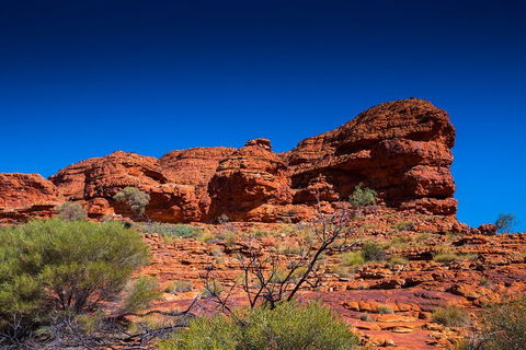 7-Day Guided Tour Of Alice Springs With Accommodation Included - Hotels Melbourne 4