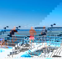Calypso Outer Great Barrier Reef Cruise from Port Douglas - Hotels Melbourne