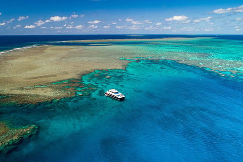 Calypso Outer Great Barrier Reef Cruise From Port Douglas - Hotels Melbourne 1