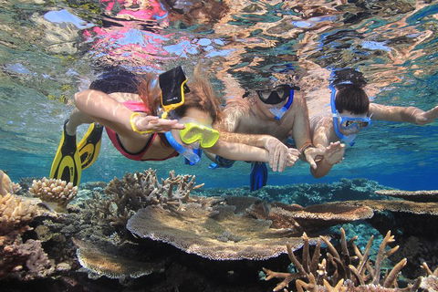 Calypso Outer Great Barrier Reef Cruise From Port Douglas - Hotels Melbourne 3
