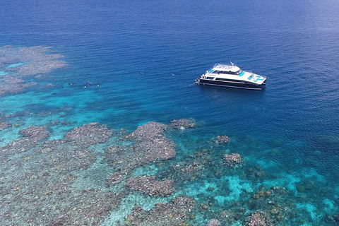 Calypso Outer Great Barrier Reef Cruise From Port Douglas - Hotels Melbourne 4