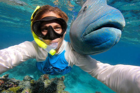 Calypso Outer Great Barrier Reef Cruise From Port Douglas - Hotels Melbourne 5