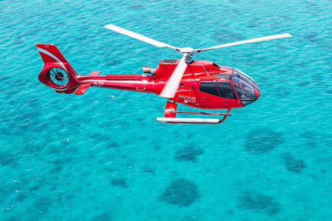 Helicopter And Cruise Packages From Port Douglas - Hotels Melbourne 5