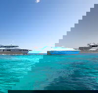 Fremantle to Rottnest Island Roundtrip Ferry Ticket - Hotels Melbourne