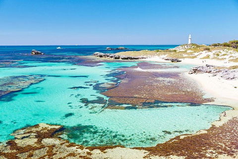 Fremantle To Rottnest Island Roundtrip Ferry Ticket - Hotels Melbourne 2