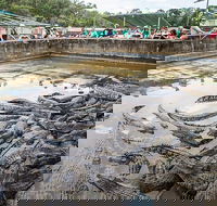 Hartley's Crocodile Adventures Day Trip from Palm Cove - Hotels Melbourne