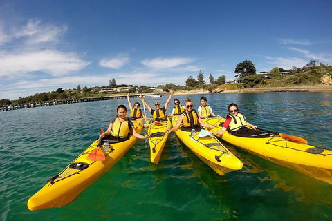 Mornington Peninsula Kayak Coastline Tour Of Dolphin Sanctuary - Hotels Melbourne 2