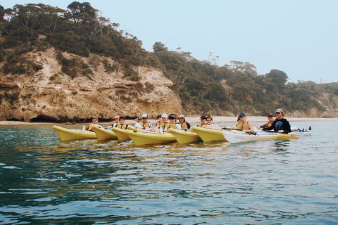 Mornington Peninsula Kayak Coastline Tour Of Dolphin Sanctuary - Hotels Melbourne 4