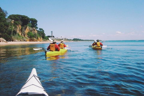 Mornington Peninsula Kayak Coastline Tour Of Dolphin Sanctuary - Hotels Melbourne 5