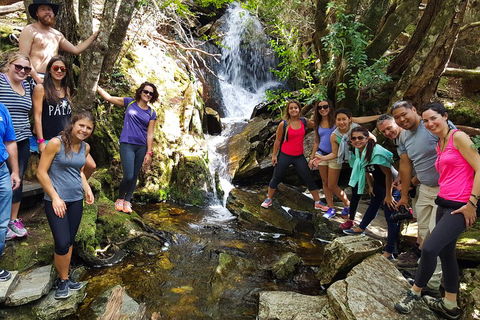 7-Day Super Value Tour Of Tasmania: Explore Tasmania's West And East Coasts - Hotels Melbourne 2