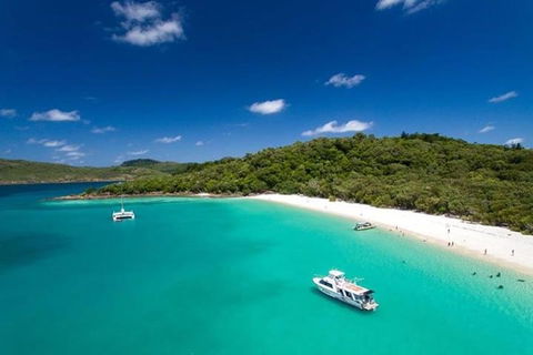 Whitehaven Beach And Hill Inlet | Awesome Beach BBQ | Family Friendly - Hotels Melbourne 3