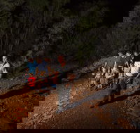 Alice Springs Desert Park Nocturnal Tour - Hotels Melbourne