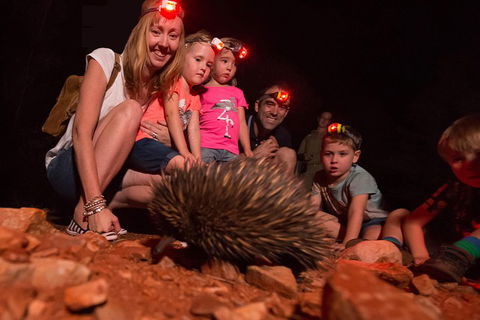 Alice Springs Desert Park Nocturnal Tour - Hotels Melbourne 5