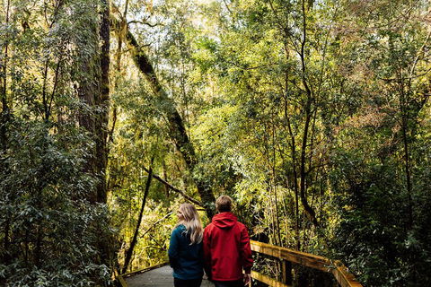 Gordon River Cruise Departing From Strahan - Hotels Melbourne 2