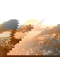 Small Group - 12 Apostles Otways  Great Ocean Road Day Tour from Melbourne - Hotels Melbourne