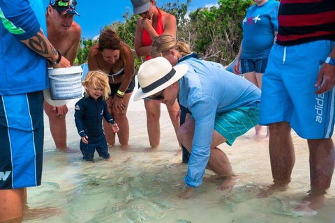 Whitehaven Beach And Hamilton Island Cruise - Hotels Melbourne 1