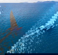 2-Night Whitsunday Islands Sailing Adventure on Trimaran Avatar - Hotels Melbourne