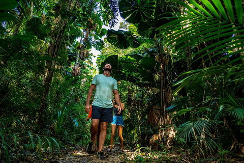Full Day Daintree Rainforest And Mossman Gorge Tour - Hotels Melbourne 0