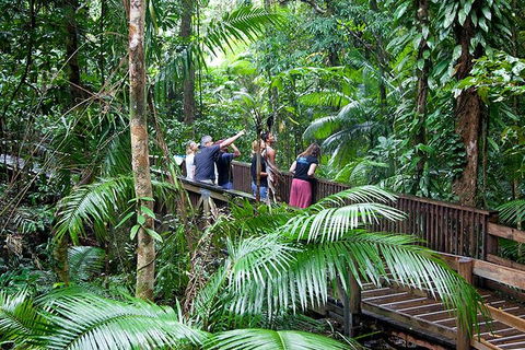 Full Day Daintree Rainforest And Mossman Gorge Tour - Hotels Melbourne 1