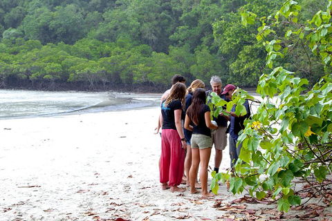 Full Day Daintree Rainforest And Mossman Gorge Tour - Hotels Melbourne 2