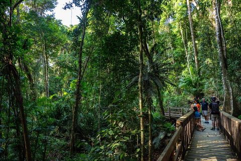 Full Day Daintree Rainforest And Mossman Gorge Tour - Hotels Melbourne 5